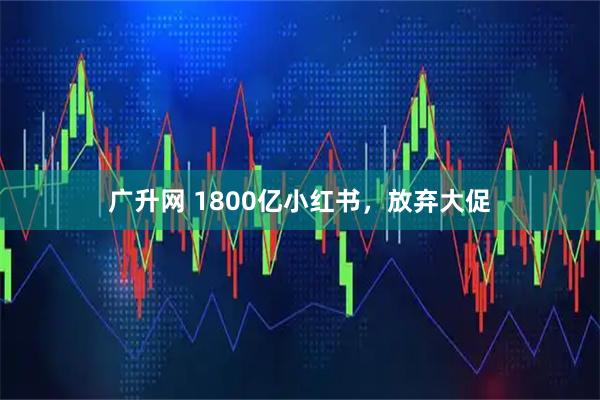 广升网 1800亿小红书，放弃大促