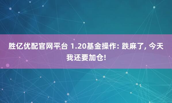胜亿优配官网平台 1.20基金操作: 跌麻了, 今天我还要加仓!