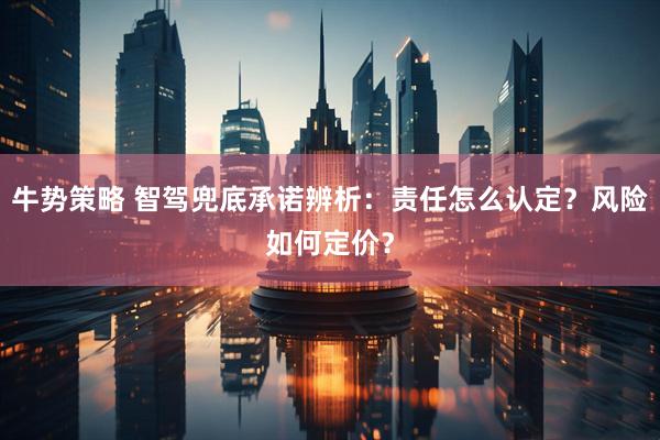 牛势策略 智驾兜底承诺辨析：责任怎么认定？风险如何定价？
