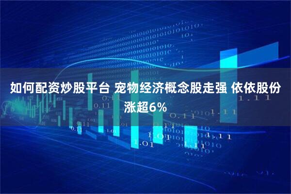 如何配资炒股平台 宠物经济概念股走强 依依股份涨超6%