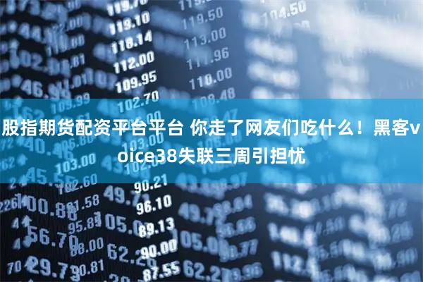 股指期货配资平台平台 你走了网友们吃什么！黑客voice38失联三周引担忧